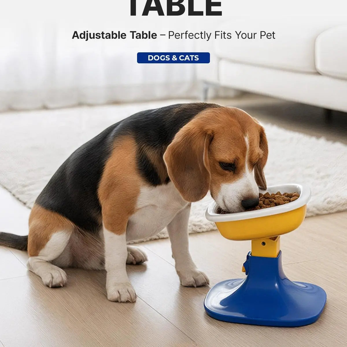 PETHROOM Adjustable Height Pet Feeding Stand with Non-Slip Base & Durable Ceramic Bowls for Dogs and Cats
