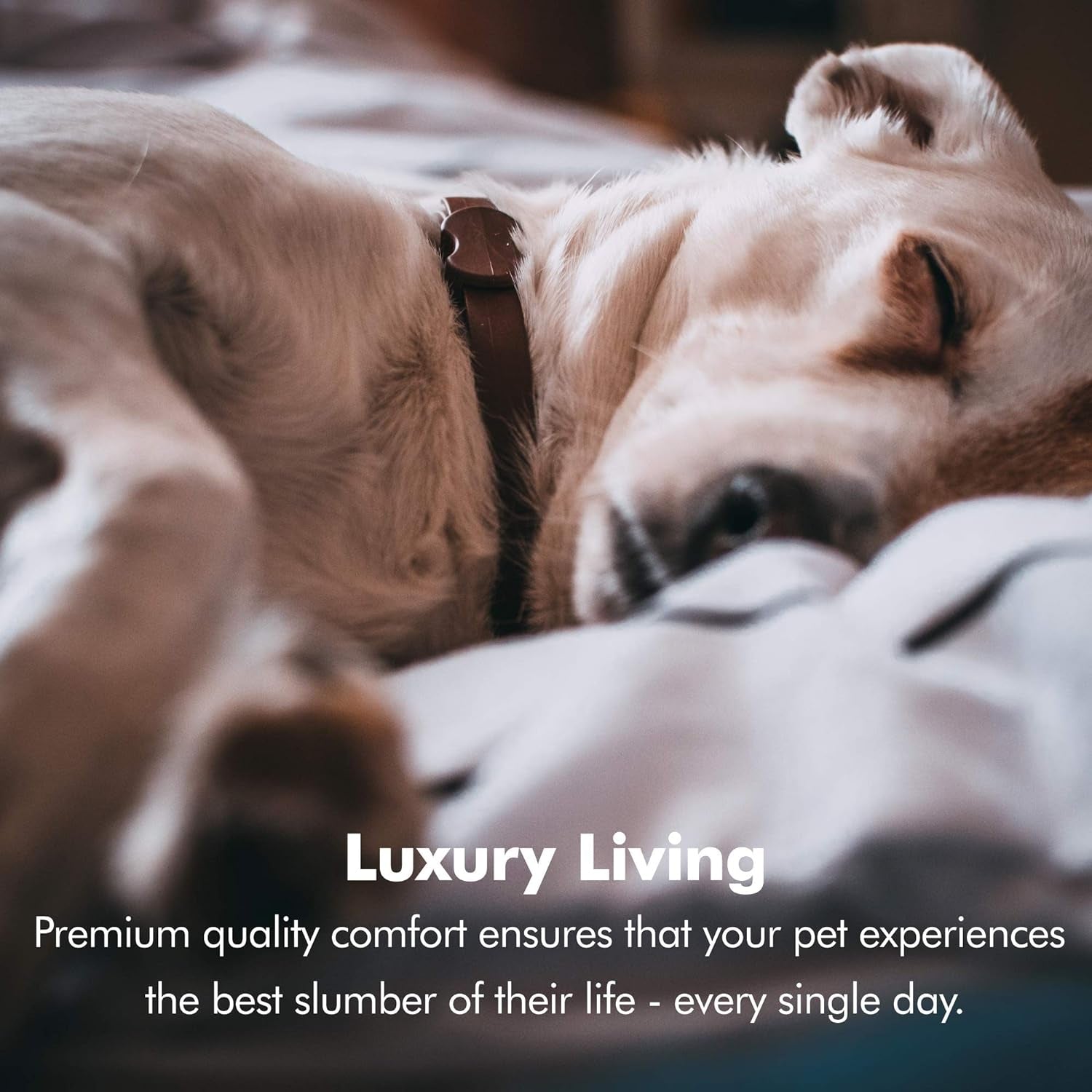 Premium X-Large Orthopedic Dog Bed - Calming Memory Foam Sofa with Wall Rim Pillow, Water Resistant, Washable Cover & Non-Slip Bottom - Stylish Khaki Beige