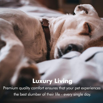 Premium X-Large Orthopedic Dog Bed - Calming Memory Foam Sofa with Wall Rim Pillow, Water Resistant, Washable Cover & Non-Slip Bottom - Stylish Khaki Beige