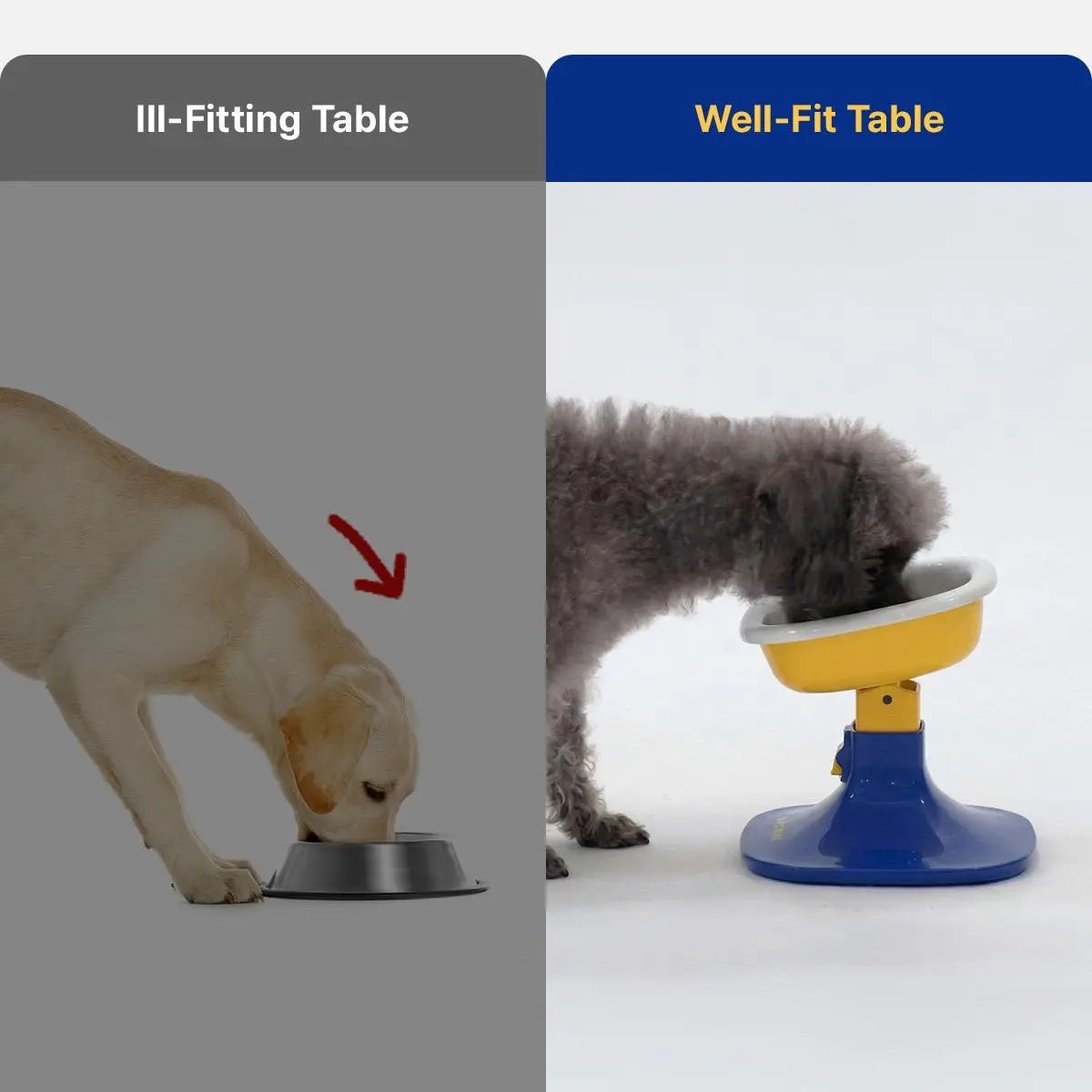 PETHROOM Adjustable Height Pet Feeding Stand with Non-Slip Base & Durable Ceramic Bowls for Dogs and Cats